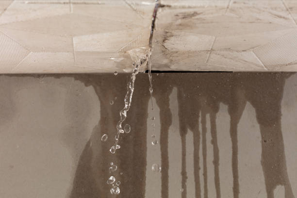 Professional Structural Drying technician working in Bleiblerville, TX